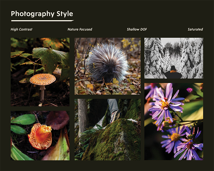 photostyle